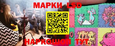 spice Заводоуковск