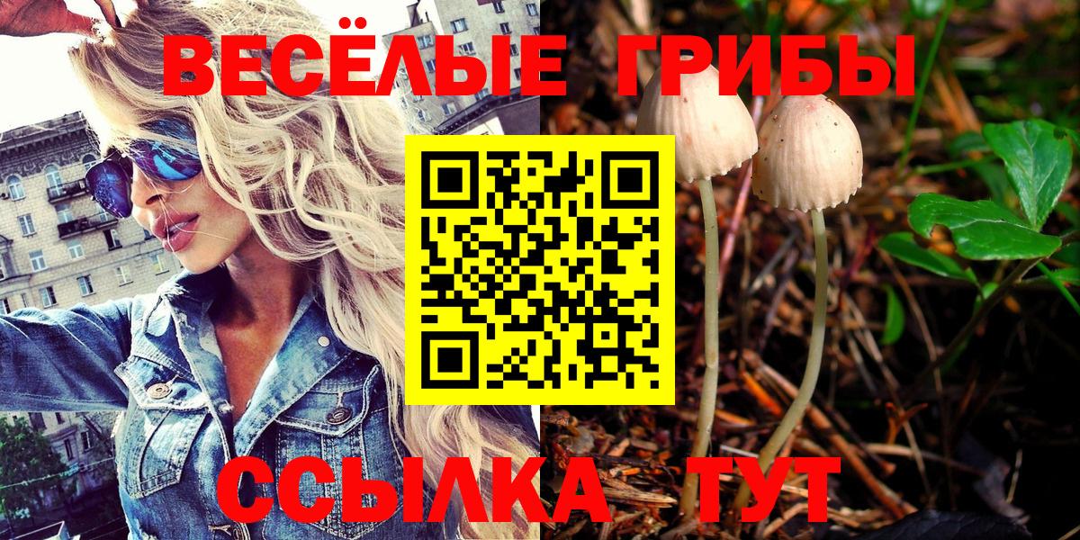 Миллерово  Галлюциногенные грибы мухоморы  Вход с VPN 