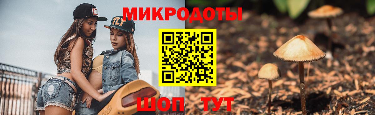 Галлюциногенные грибы Cubensis Миллерово