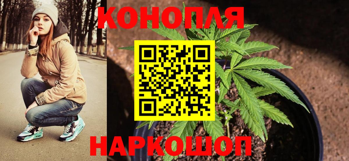 МАРИХУАНА тримм Миллерово